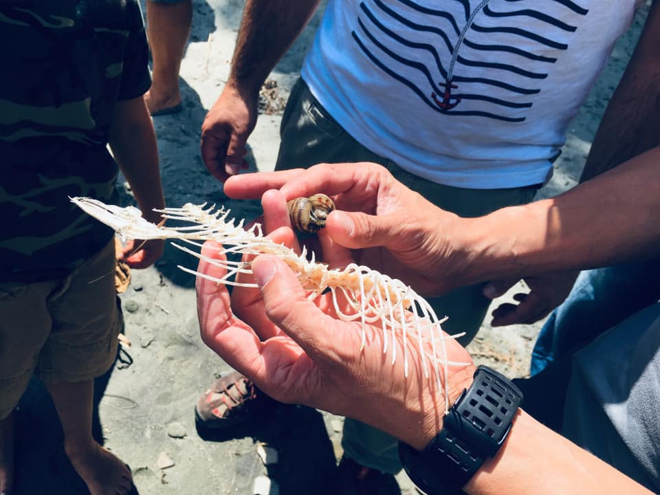 Osservazione dei reperti raccolti durante l'esplorazione