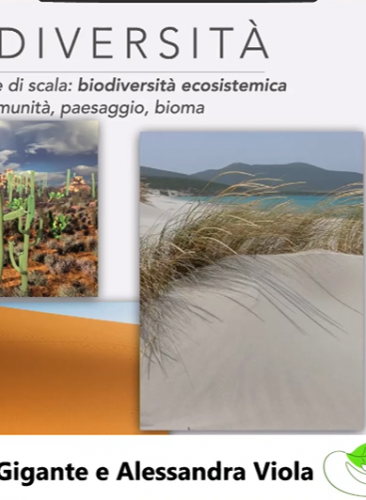 Il contributo della natura al benessere dell’umanità
