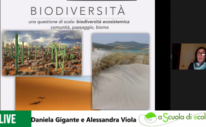 Il contributo della natura al benessere dell’umanità