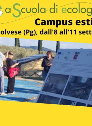Modulo d’iscrizione campus 2022