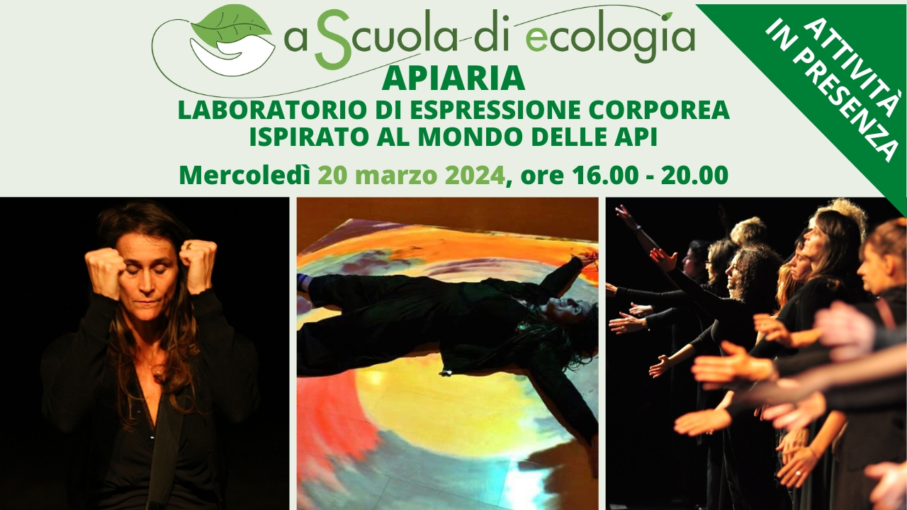 Laboratorio di danza ispirato al mondo delle api
