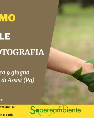 Campus di Giornalismo ambientale e culturale 2024