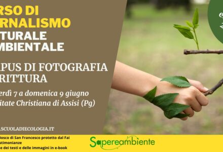 Campus di Giornalismo ambientale e culturale 2024