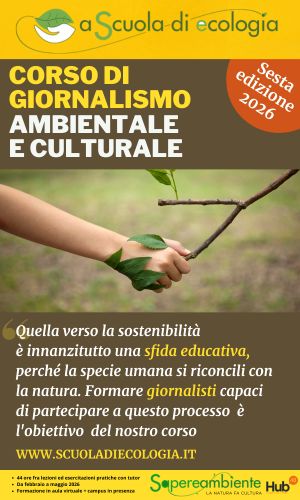 Corso giornalismo 2026 banner verticale